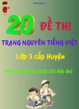 Bộ đề thi Trạng Nguyên Tiếng Việt Lớp 3 cấp Huyện năm học 2024-2025 (20 Đề + Đáp án)